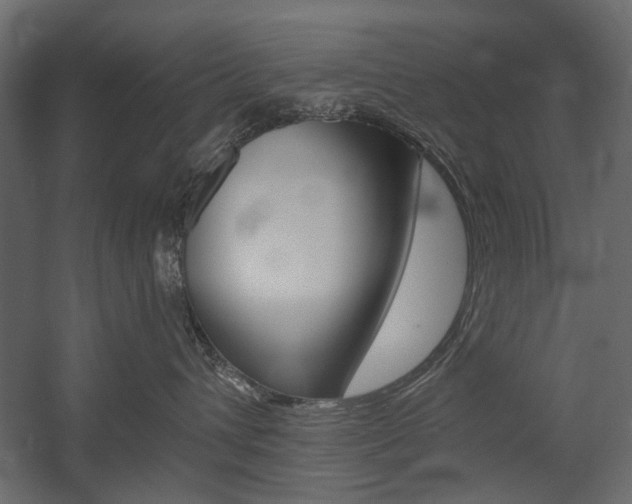 X0000054360432200507290810
