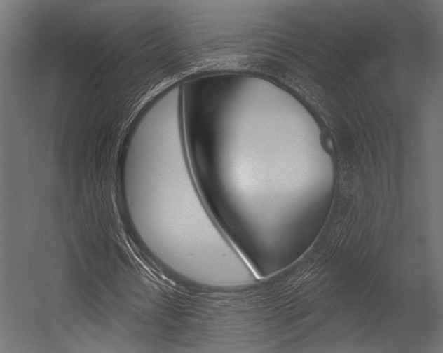 X0000054360434200507290809