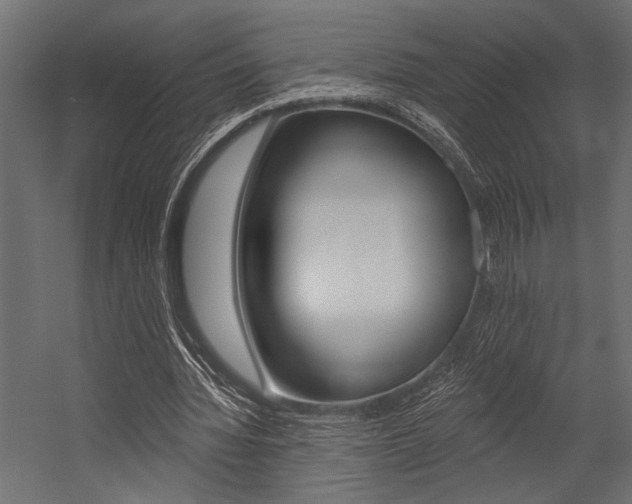 X0000054360436200507290809