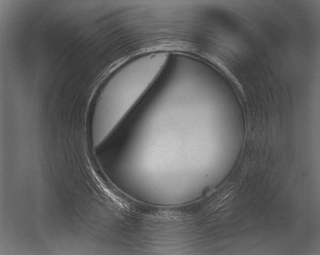 X0000054360437200507290809