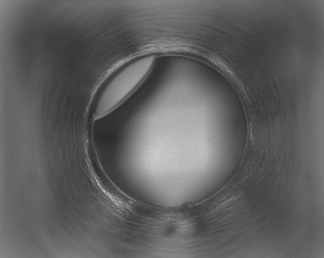 X0000054360438200507290809