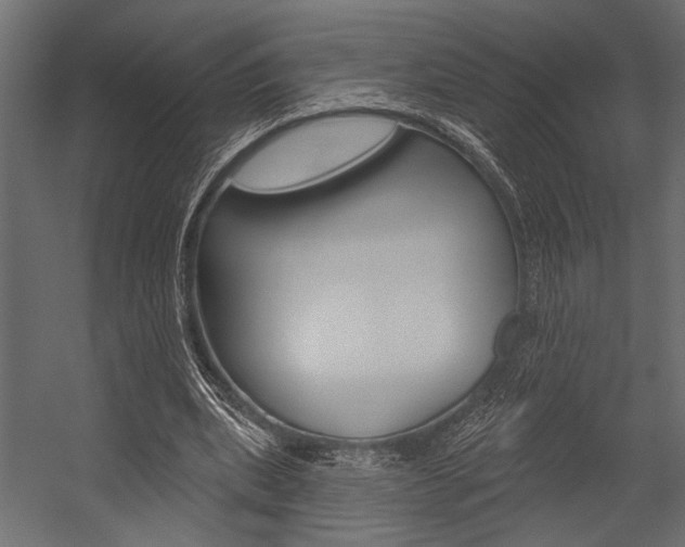 X0000054360439200507290809