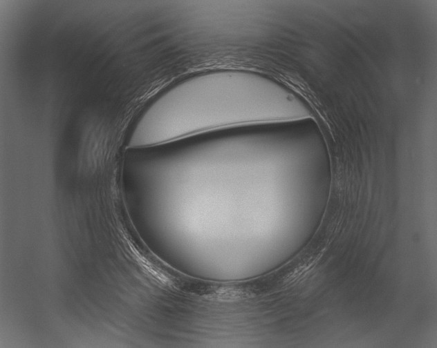 X0000054360441200507290809