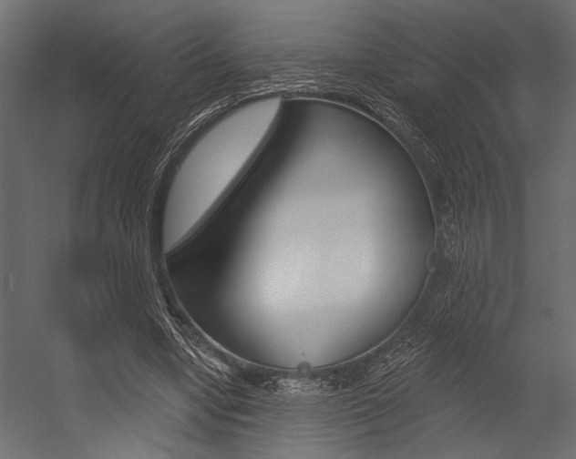 X0000054360442200507290809