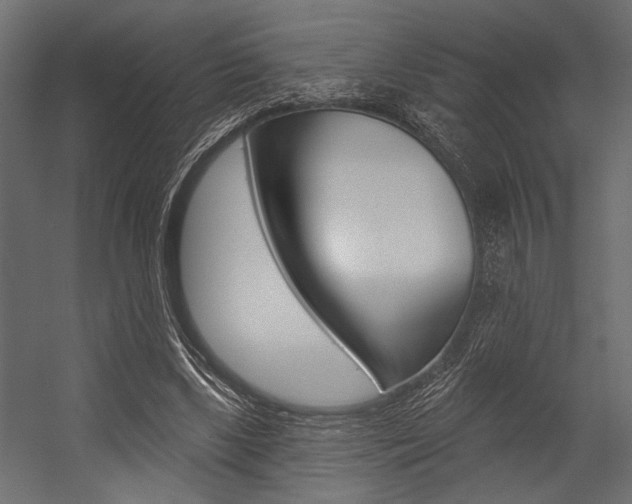 X0000054360443200507290809