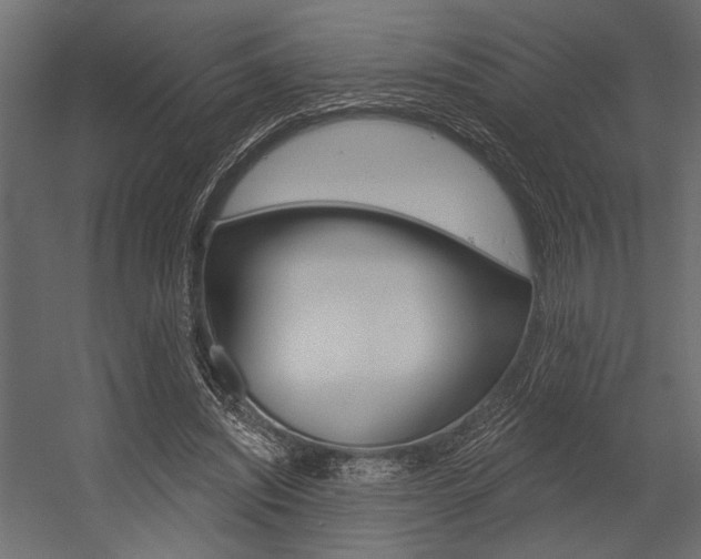 X0000054360444200507290809