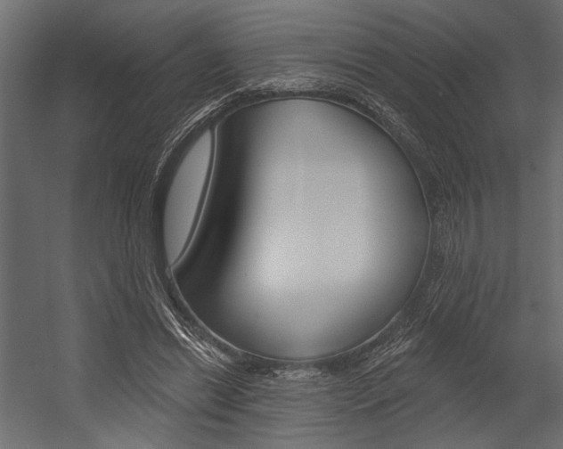 X0000054360446200507290809