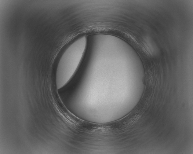 X0000054360447200507290809