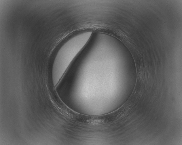 X0000054360448200507290809