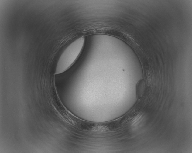 X0000054360451200507290809