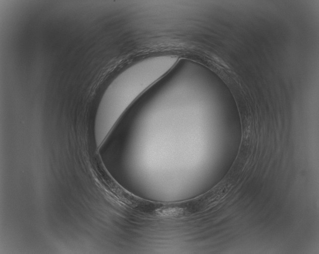 X0000054360452200507290809