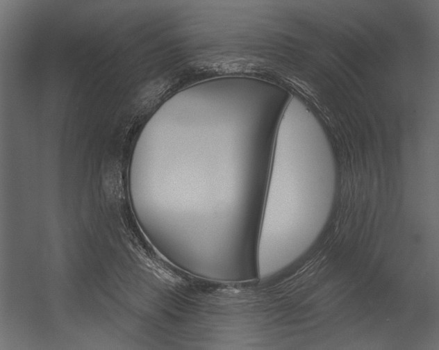 X0000054360453200507290809
