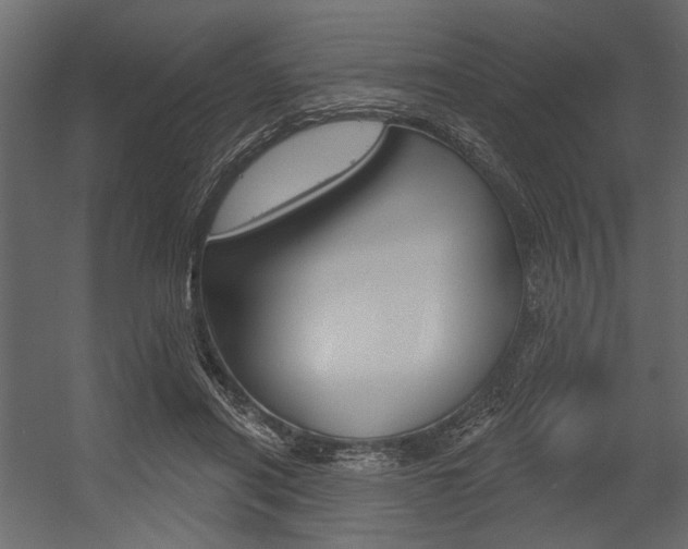 X0000054360454200507290809