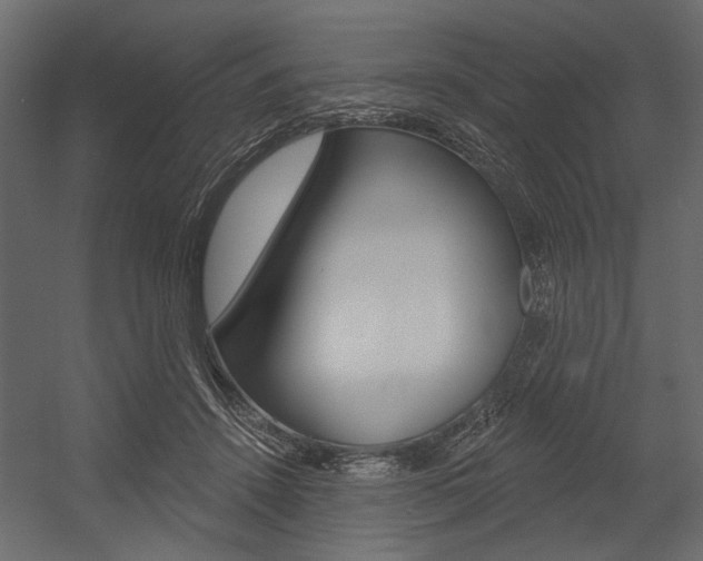 X0000054360456200507290809