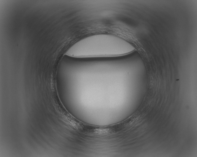 X0000054360457200507290809