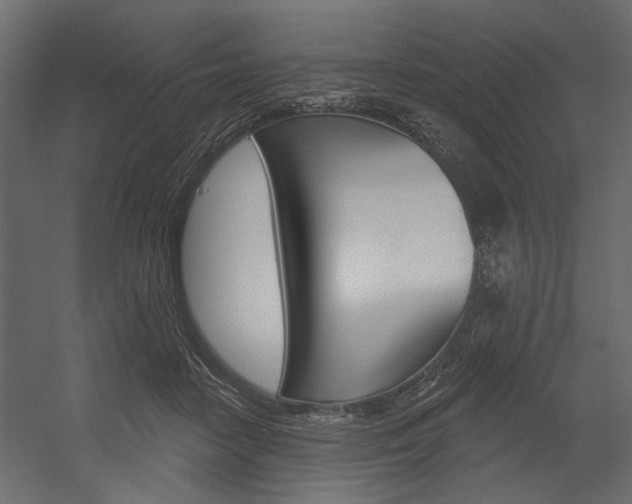 X0000054360458200507290809