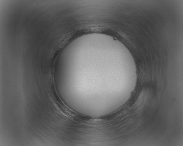 X0000054360459200507290809