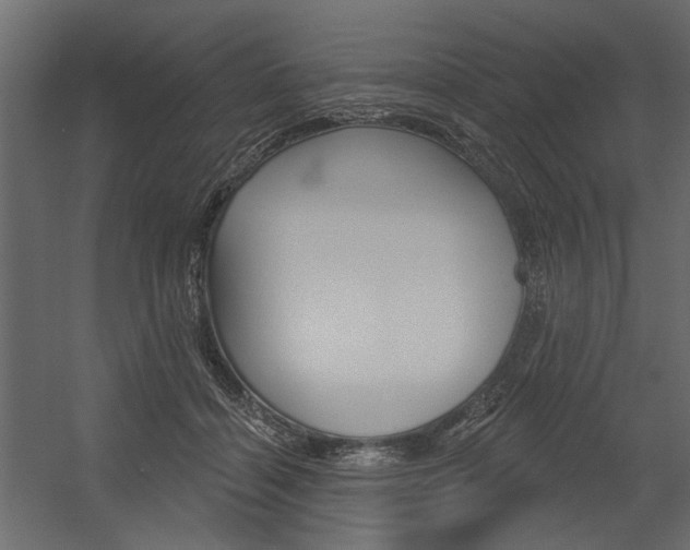 X0000054360460200507290809