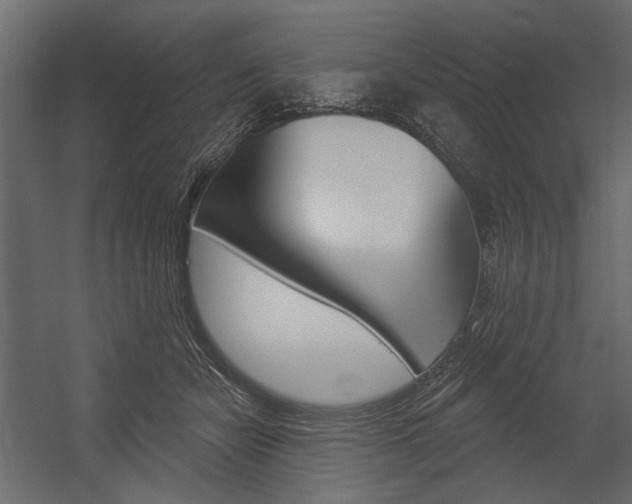 X0000054360462200507290809