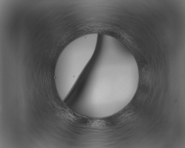 X0000054360463200507290809