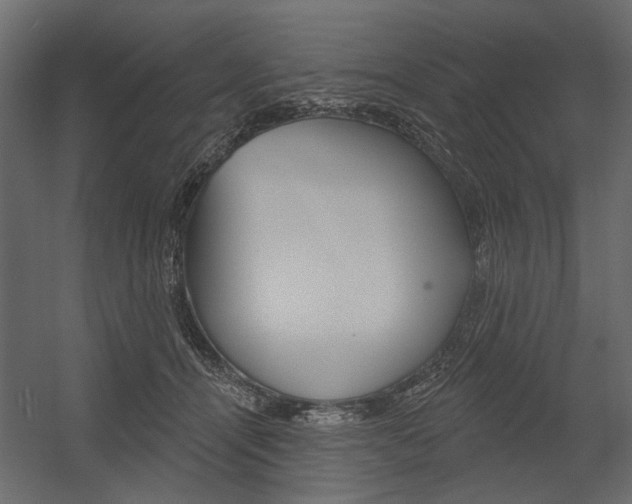 X0000054360464200507290809