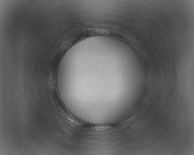 X0000054360465200507290809