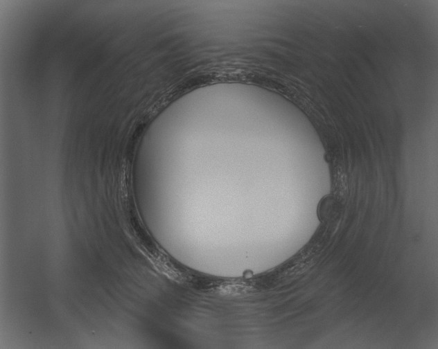 X0000054360468200507290809