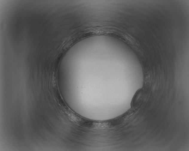 X0000054360469200507290809