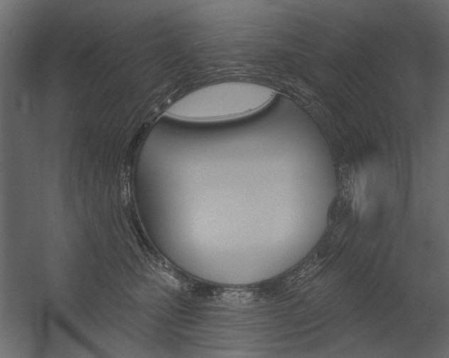 X0000054360471200507290809