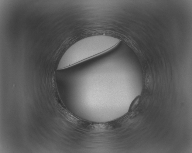 X0000054360473200507290809