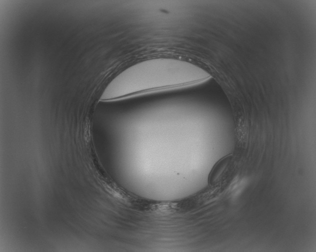 X0000054360474200507290809