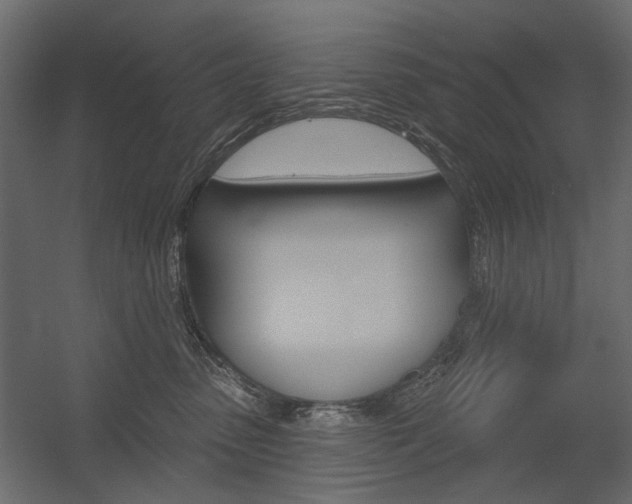 X0000054360475200507290809