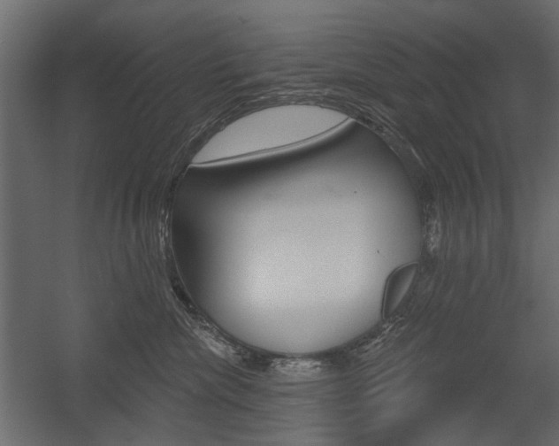 X0000054360476200507290809