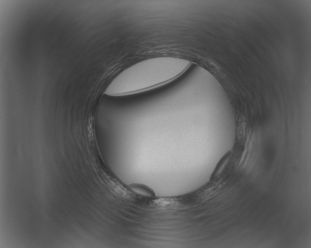 X0000054360477200507290809