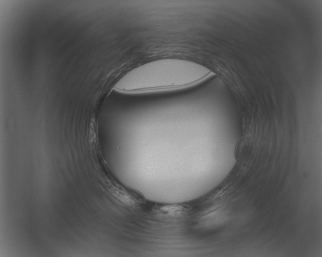 X0000054360478200507290809