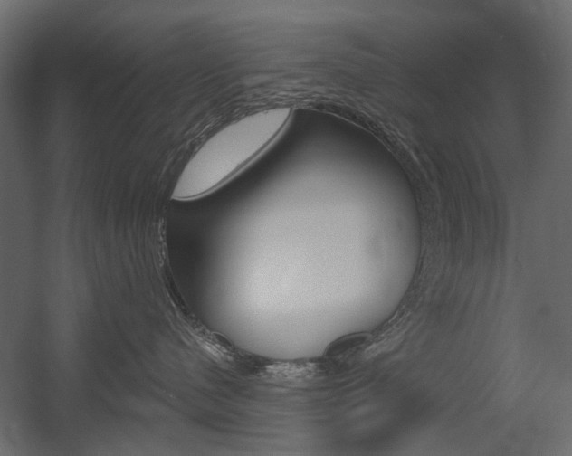 X0000054360480200507290810
