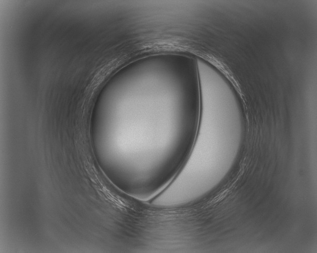 X0000054360481200507290809