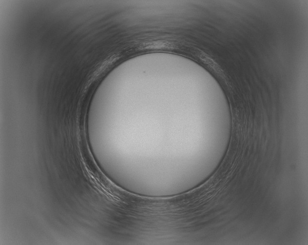 X0000054360482200507290809