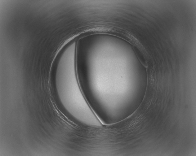 X0000054360484200507290809