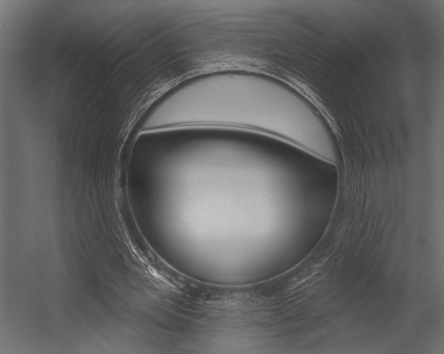 X0000054360485200507290809