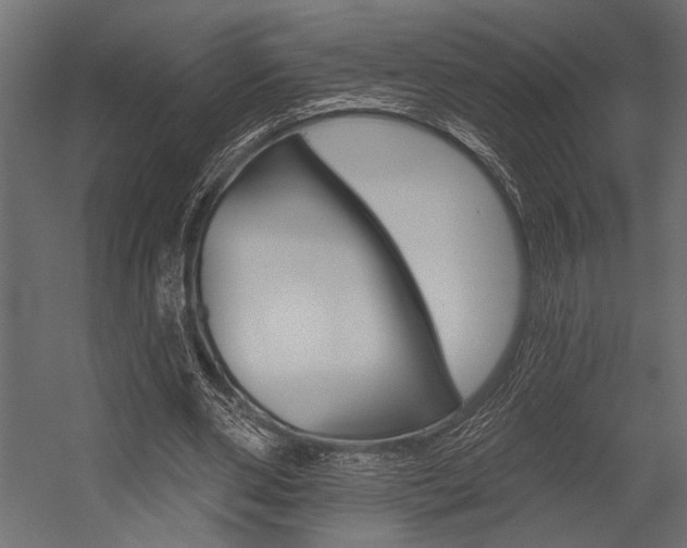 X0000054360486200507290809