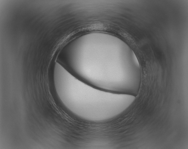 X0000054360487200507290809