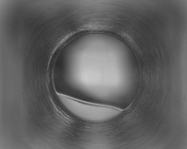 X0000054360488200507290809
