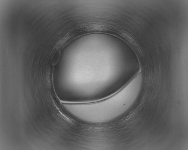 X0000054360489200507290809