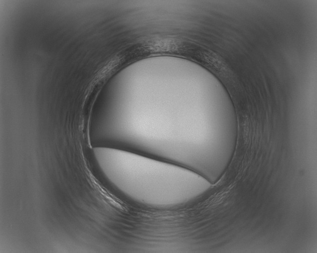 X0000054360490200507290809