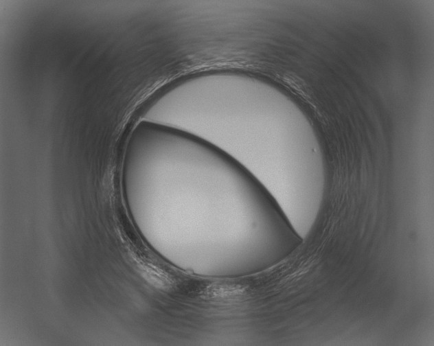 X0000054360491200507290809