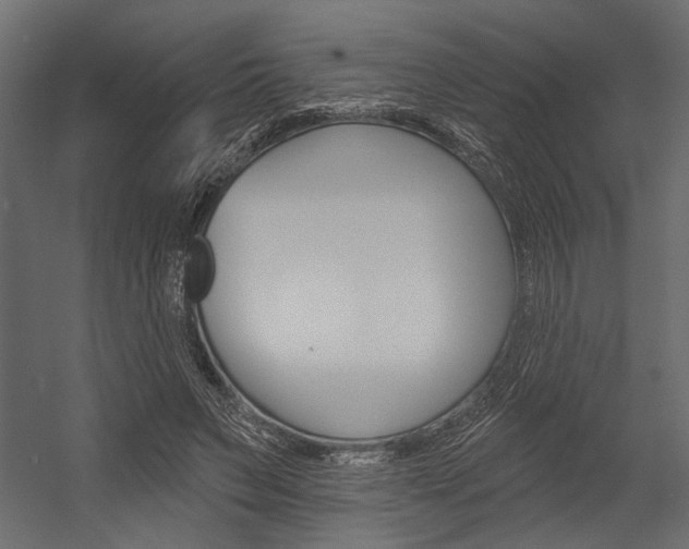 X0000054360495200507290808