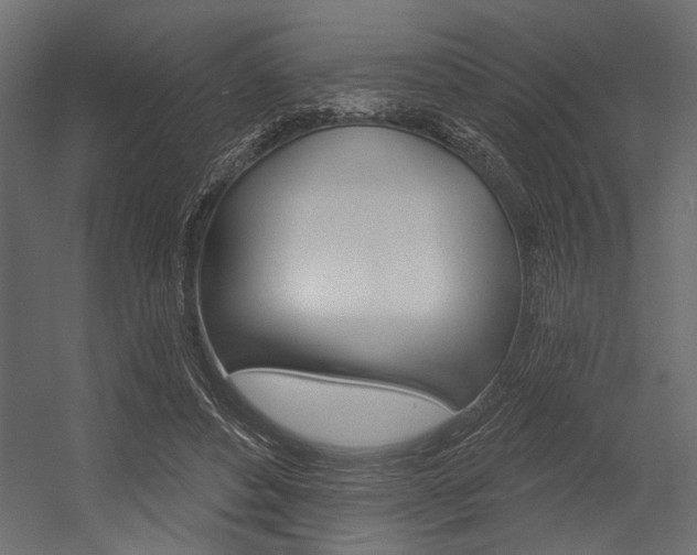X0000054360496200507290808