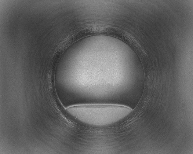 X0000054360497200507290808
