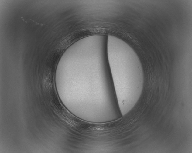 X0000054360498200507290808